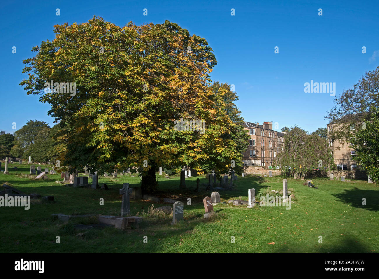 Early Autumn in Morningside Cemetery, Edinburgh, Scotland, UK. Stock Photo