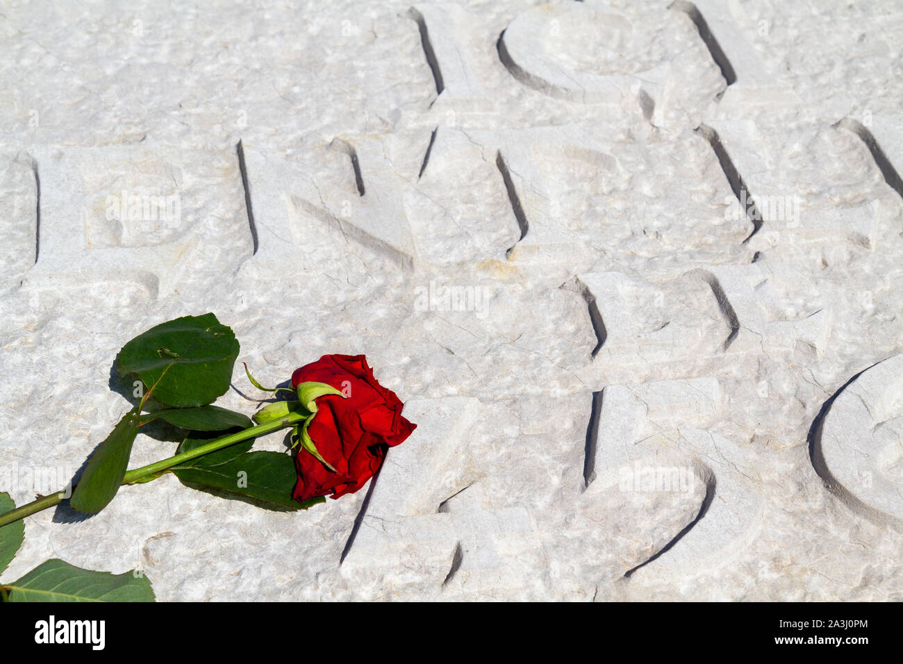 A rose placed on the graves of soldiers fallen in WW I. Necropolis of Notre-Dame-de-Lorette, memorial of the WW I (1914-1918). Stock Photo