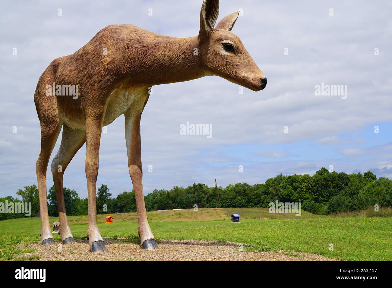 Art Omi, an outdoor museum displaying artworks and sculptures in