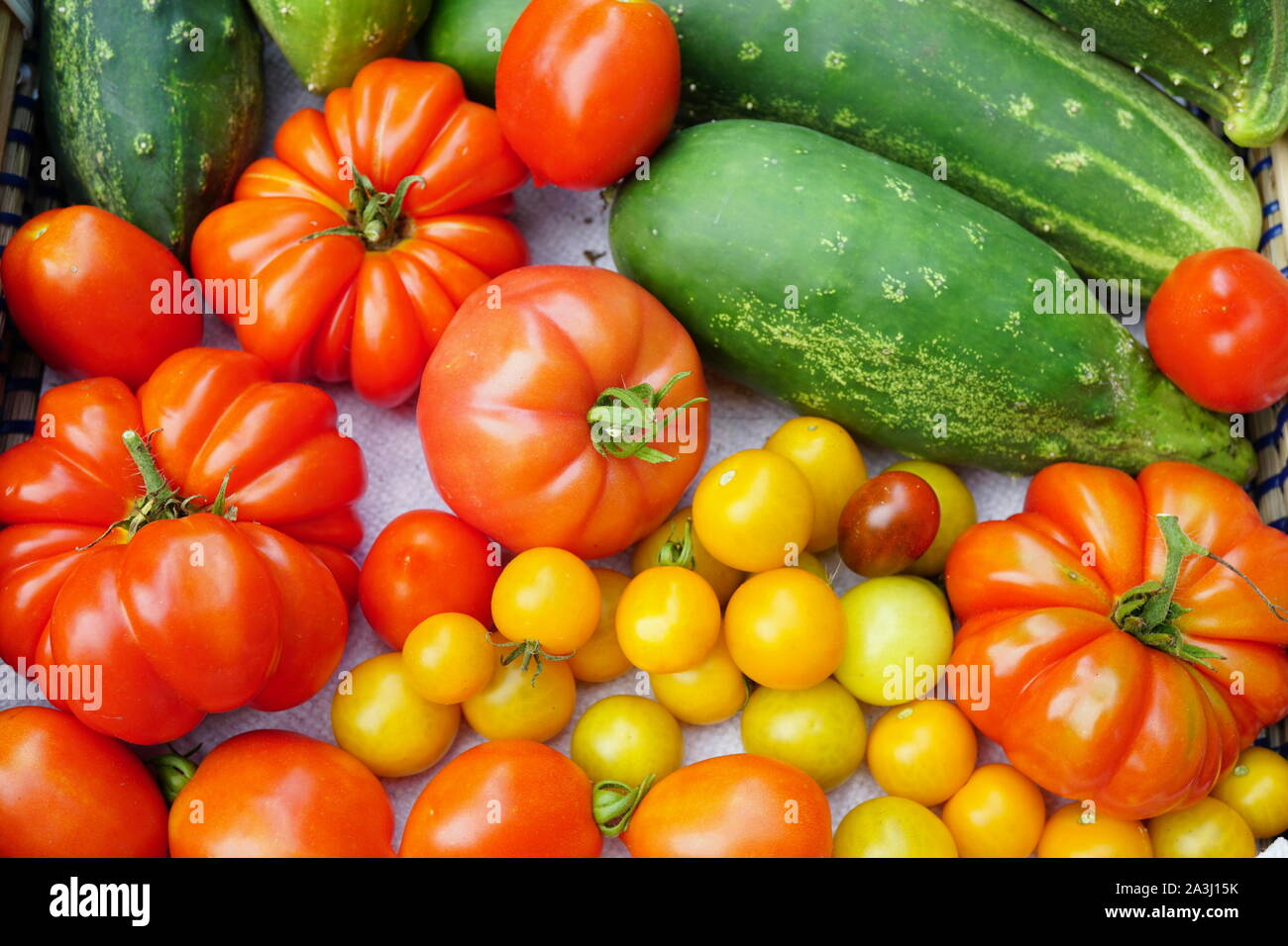 Harvest fruits and veggies hires stock photography and images Alamy