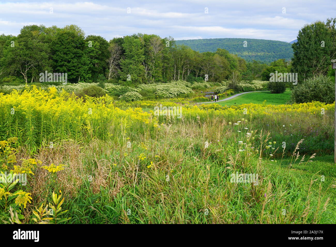 Picturesque landscape of The Windham Path in the Catskills area, Upstate New York, USA Stock Photo