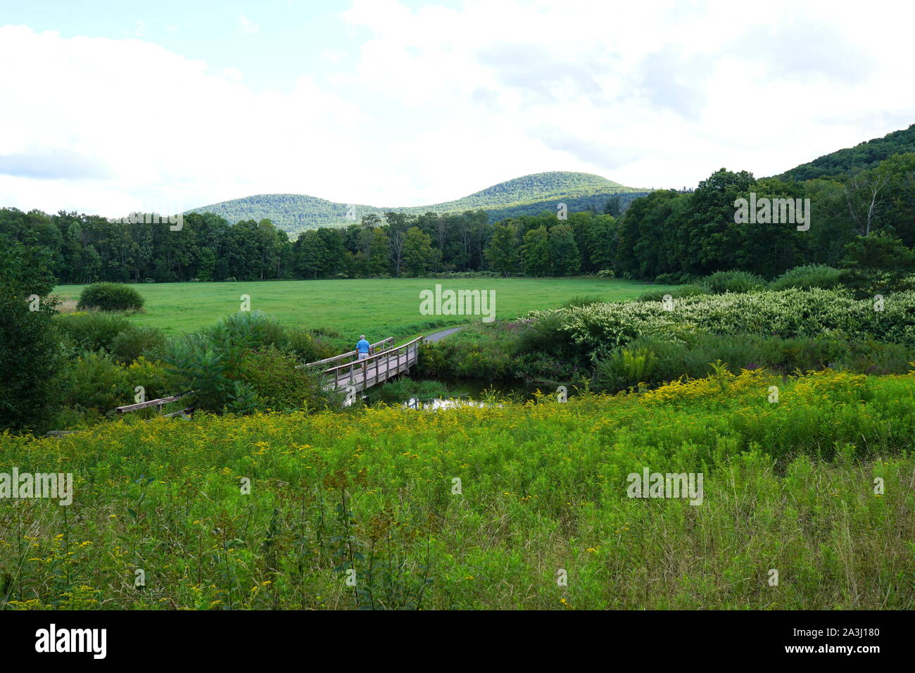 Picturesque landscape of The Windham Path in the Catskills area, Upstate New York, USA Stock Photo