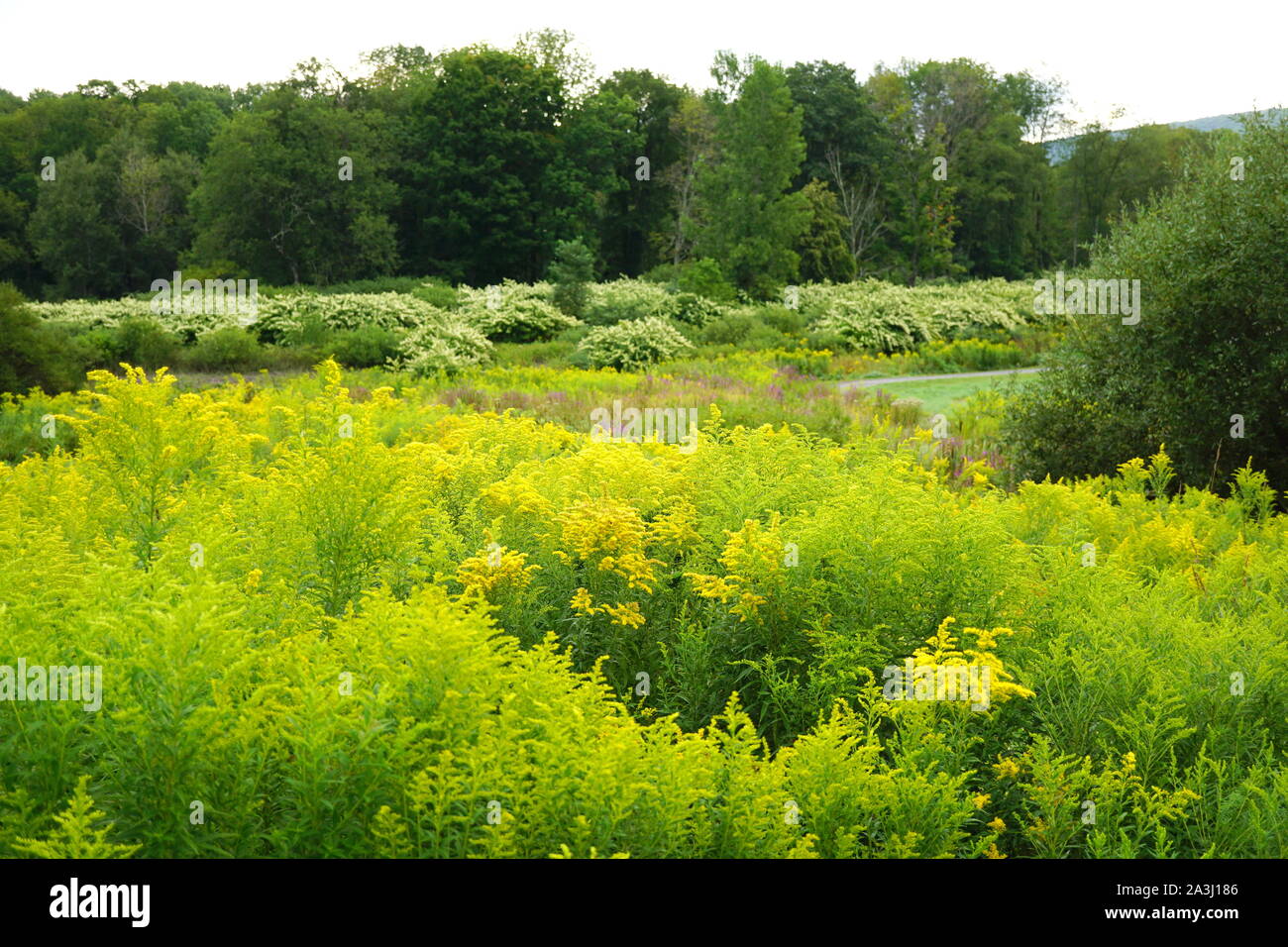 Picturesque landscape of The Windham Path in the Catskills area