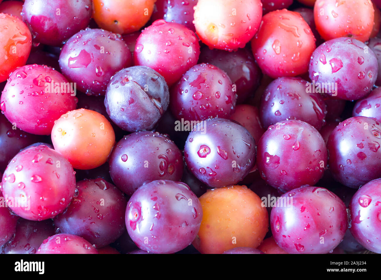 Ripe cherry plum background. Top view. Close up. Full frame. Stock Photo