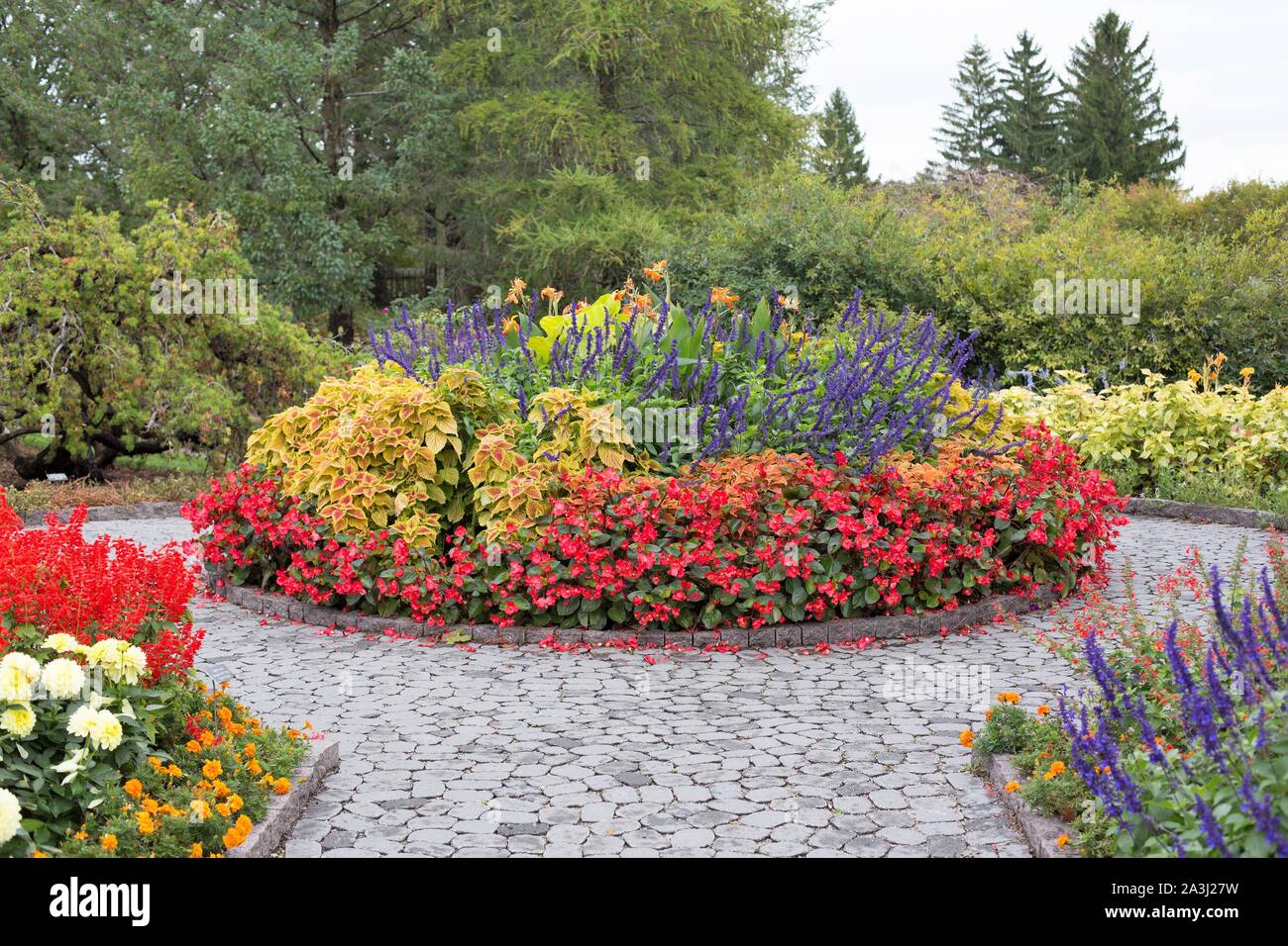 An outdoor autumn flower display at the Minnesota Landscape Arboretum in Chanhassen, Minnesota, USA. Stock Photo