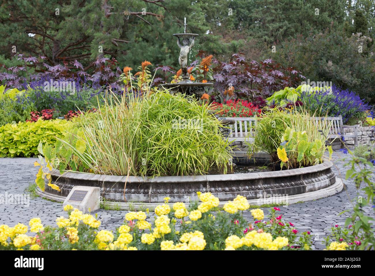 An outdoor autumn flower display at the Minnesota Landscape Arboretum in Chanhassen, Minnesota, USA. Stock Photo