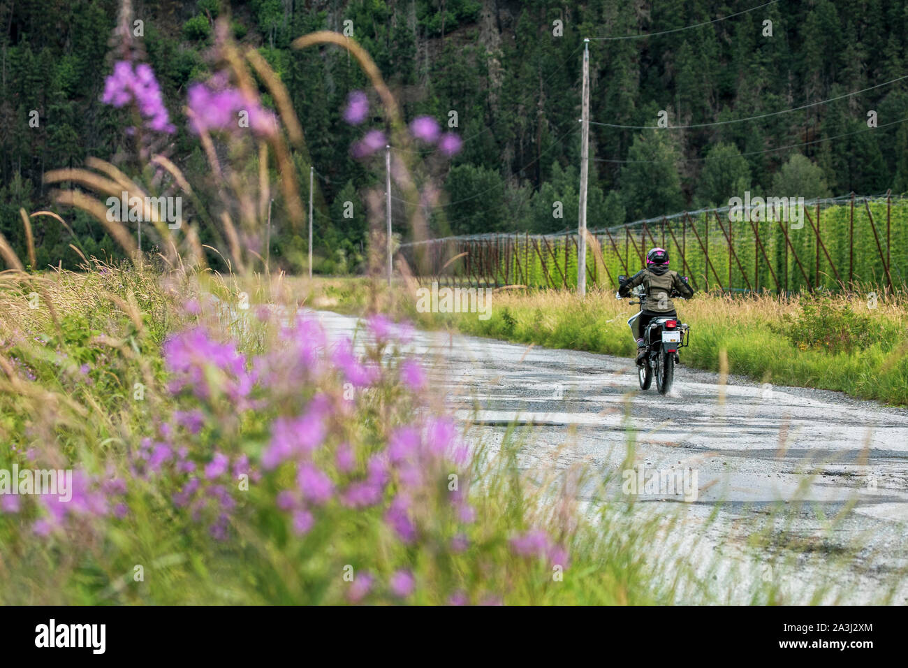 A woman rides her motorcycle on a cloudy summer day. Stock Photo
