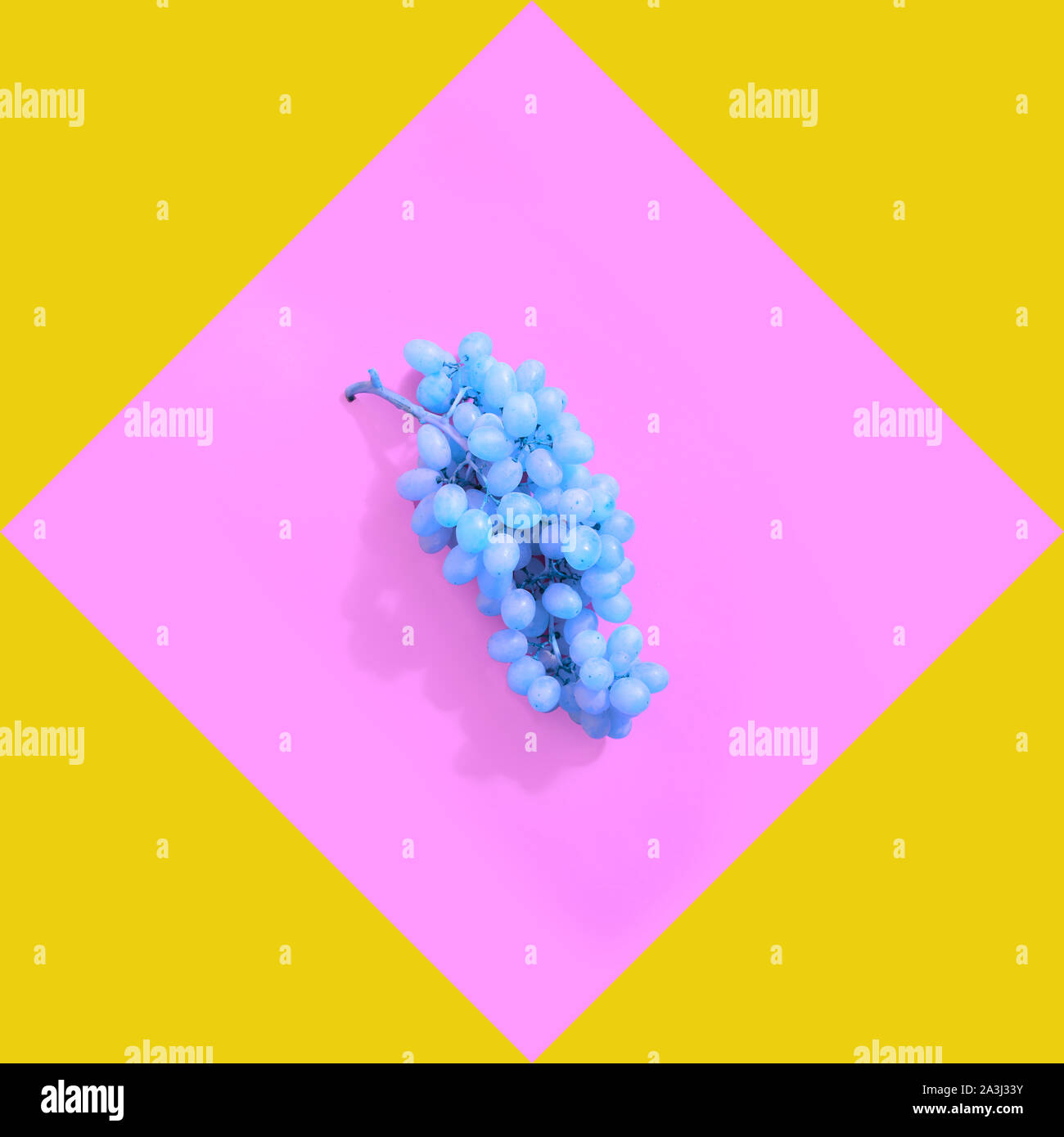 Colored blue grapes isolated on pink-yellow background. top view. Food surreal background.Concept minimal food. Stock Photo