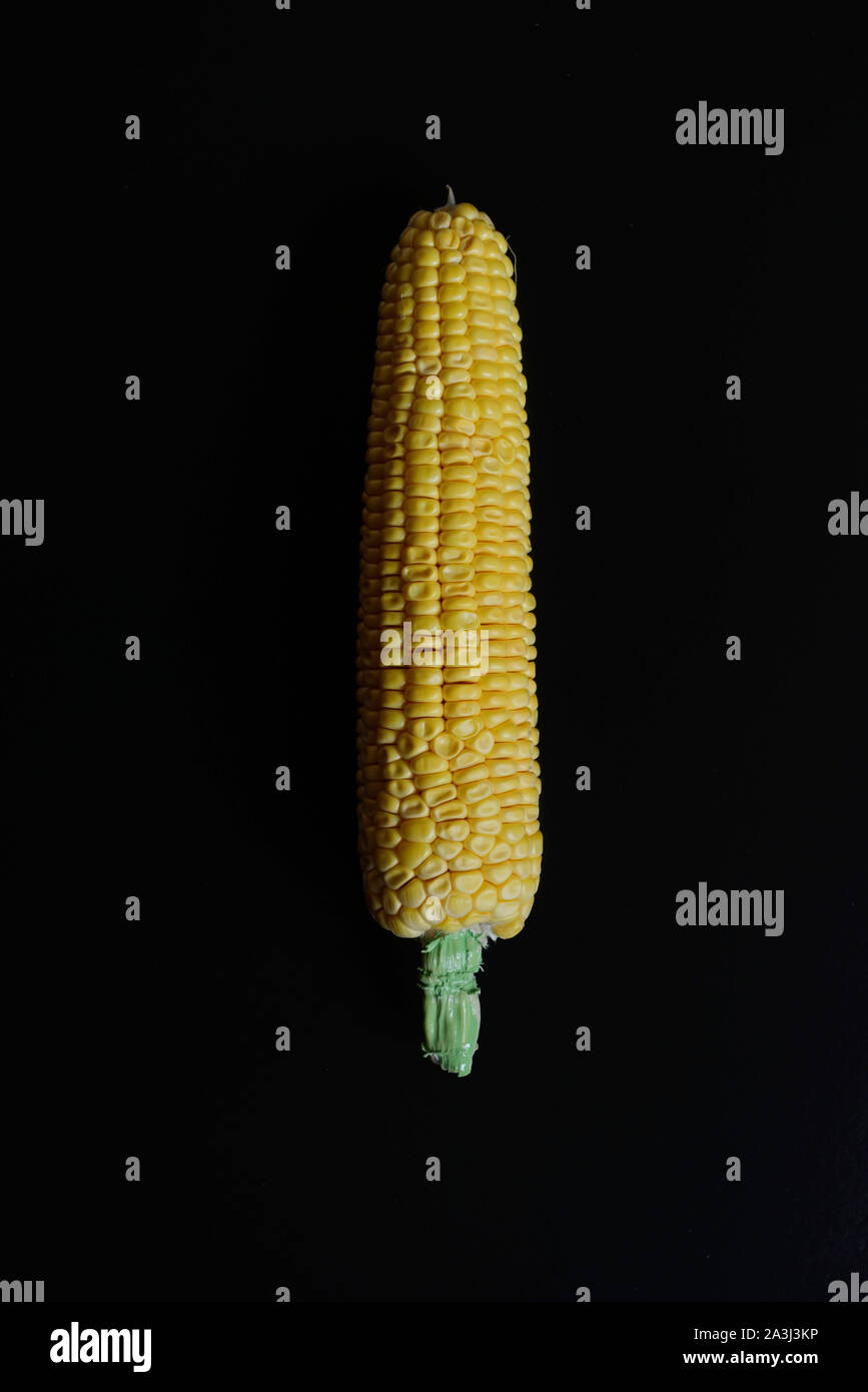 Creative yellow corn on black background.Minimal food concept.Top view. Flat lay. Macro concept Stock Photo