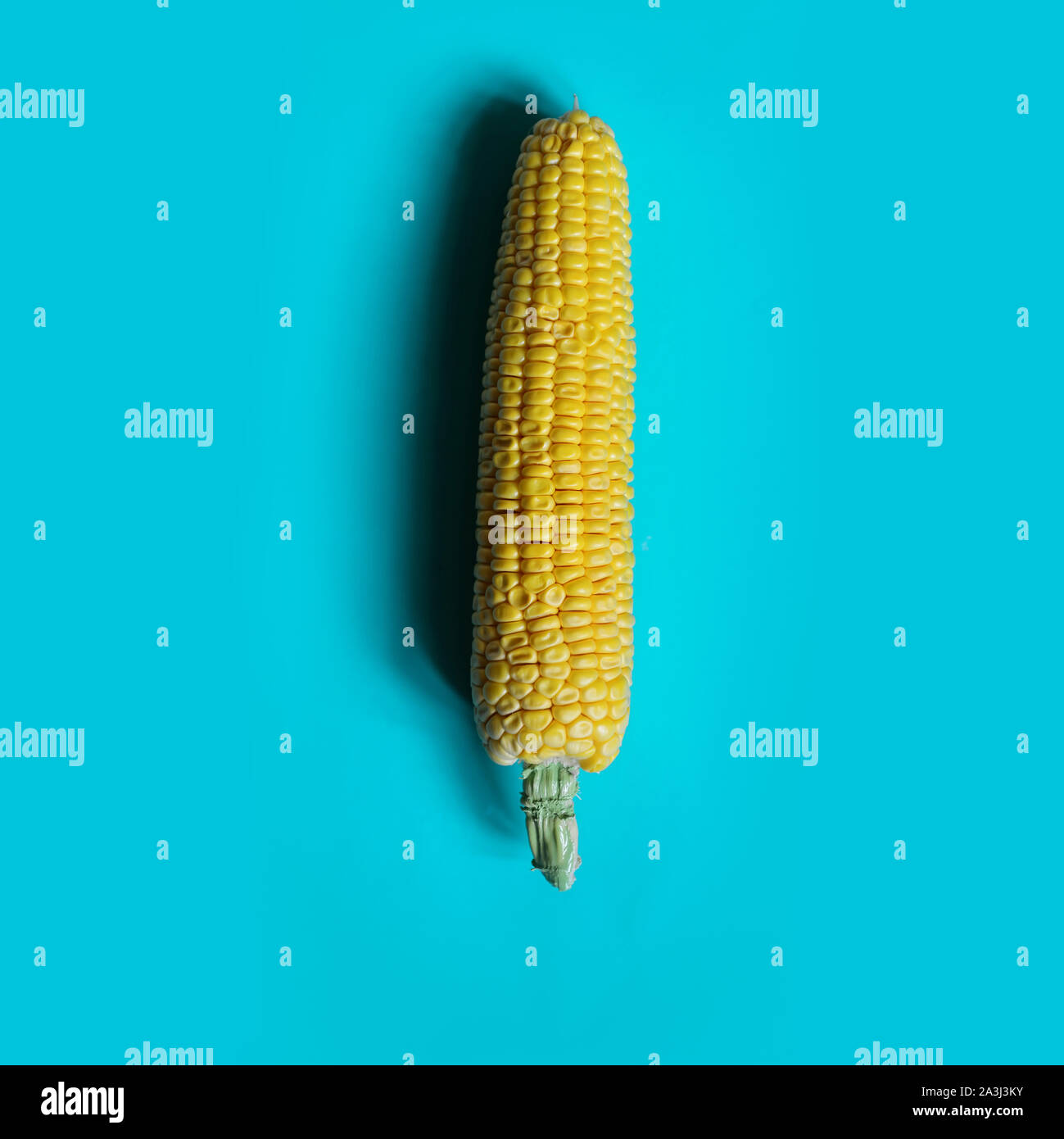 Creative yellow corn on blue background.Minimal food concept.Top view. Flat lay. Macro concept Stock Photo
