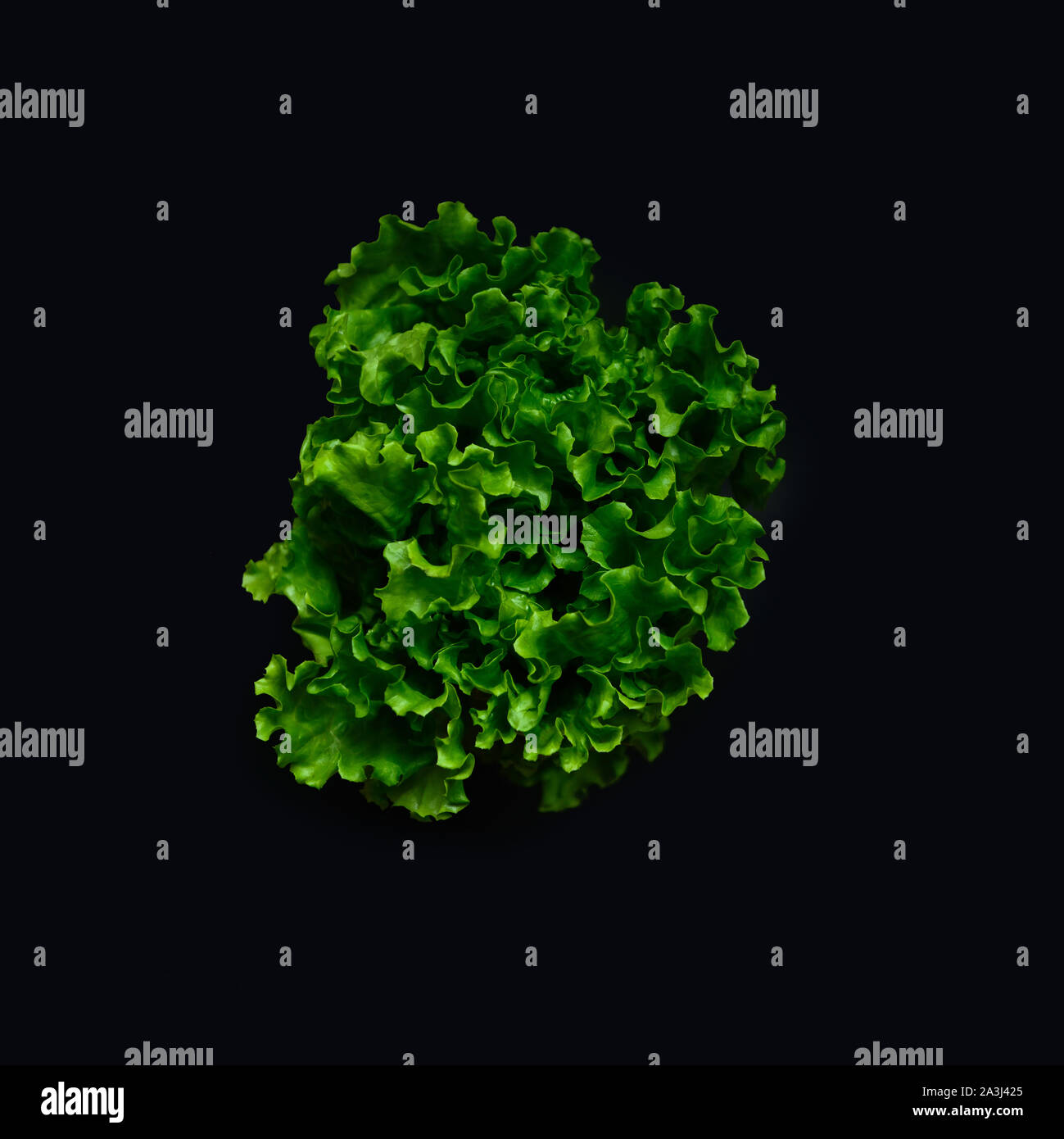 juicy fresh green lettuce leaves on a tempo background, in retro toning. Stock Photo