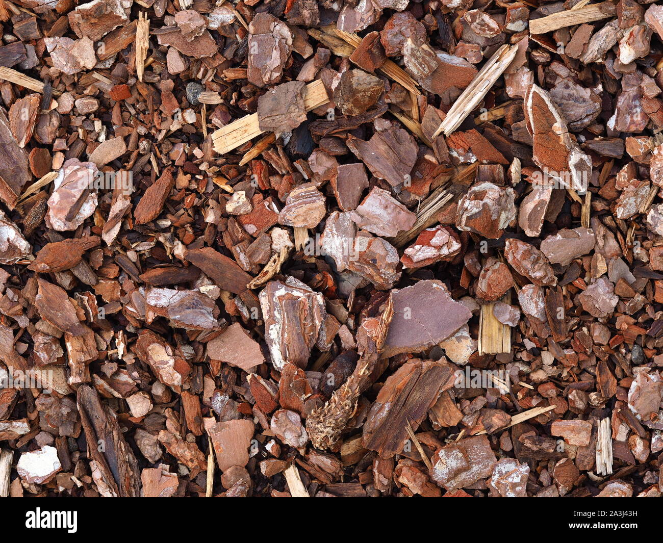 Wood chips lying on the ground, would make a great background Stock Photo