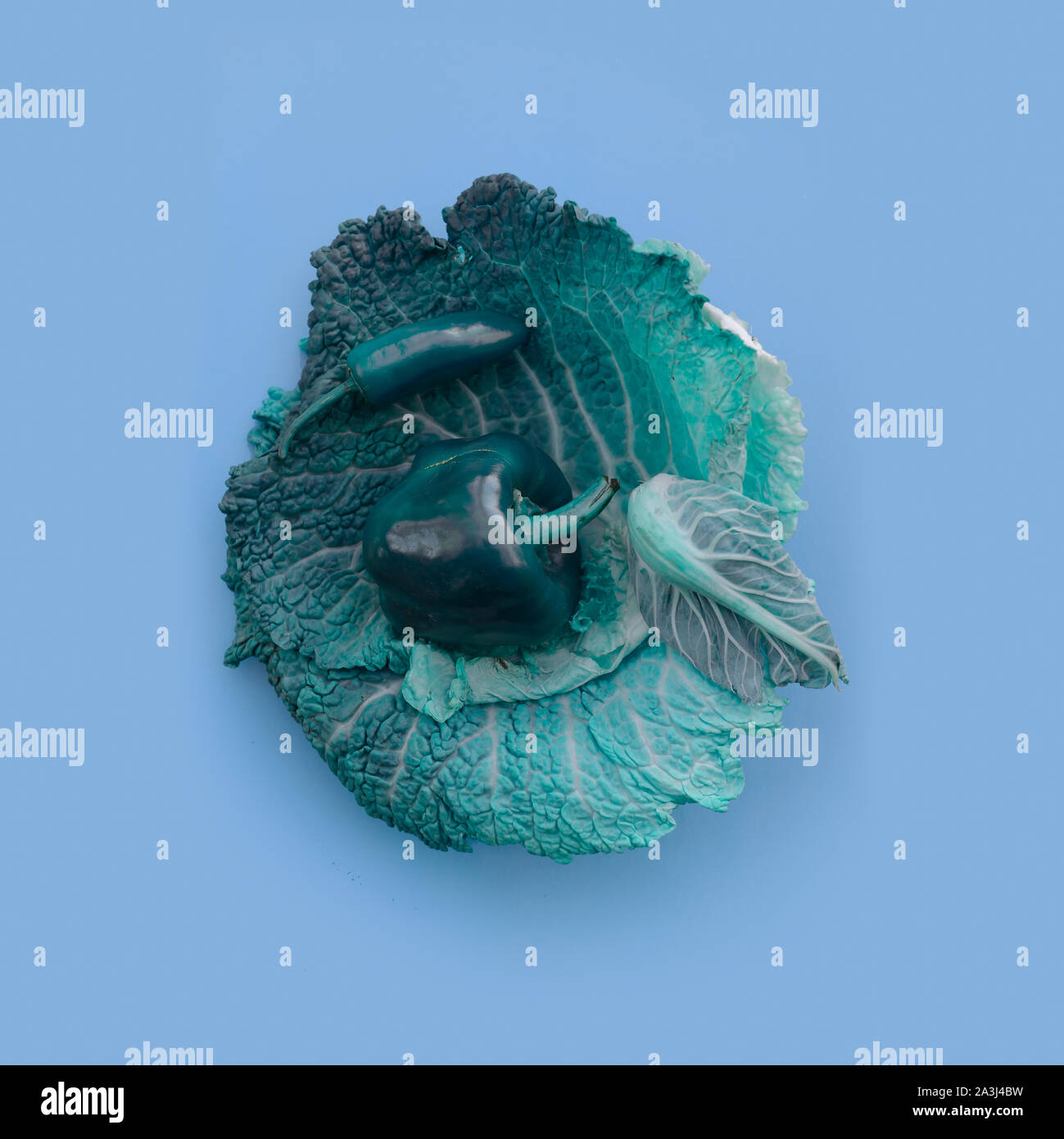 Creative layout made of cabbage and paprika on background.Art food ...