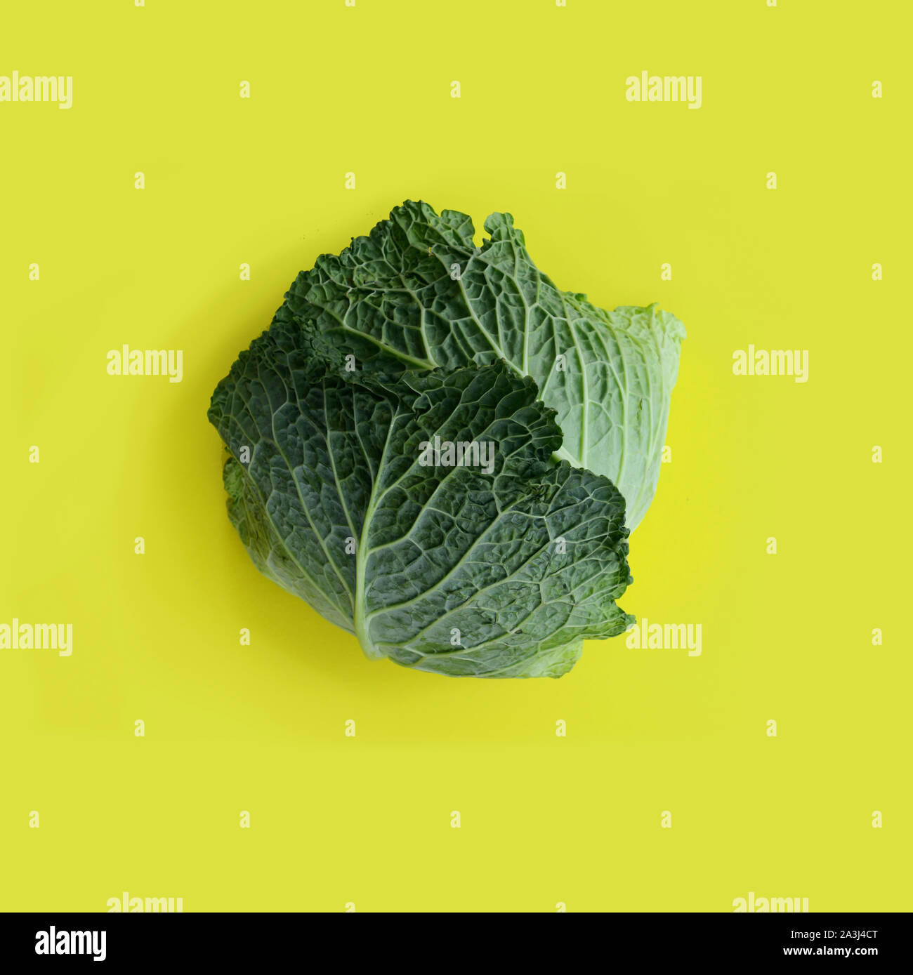 whole head of savoy cabbage on yellow background Stock Photo - Alamy