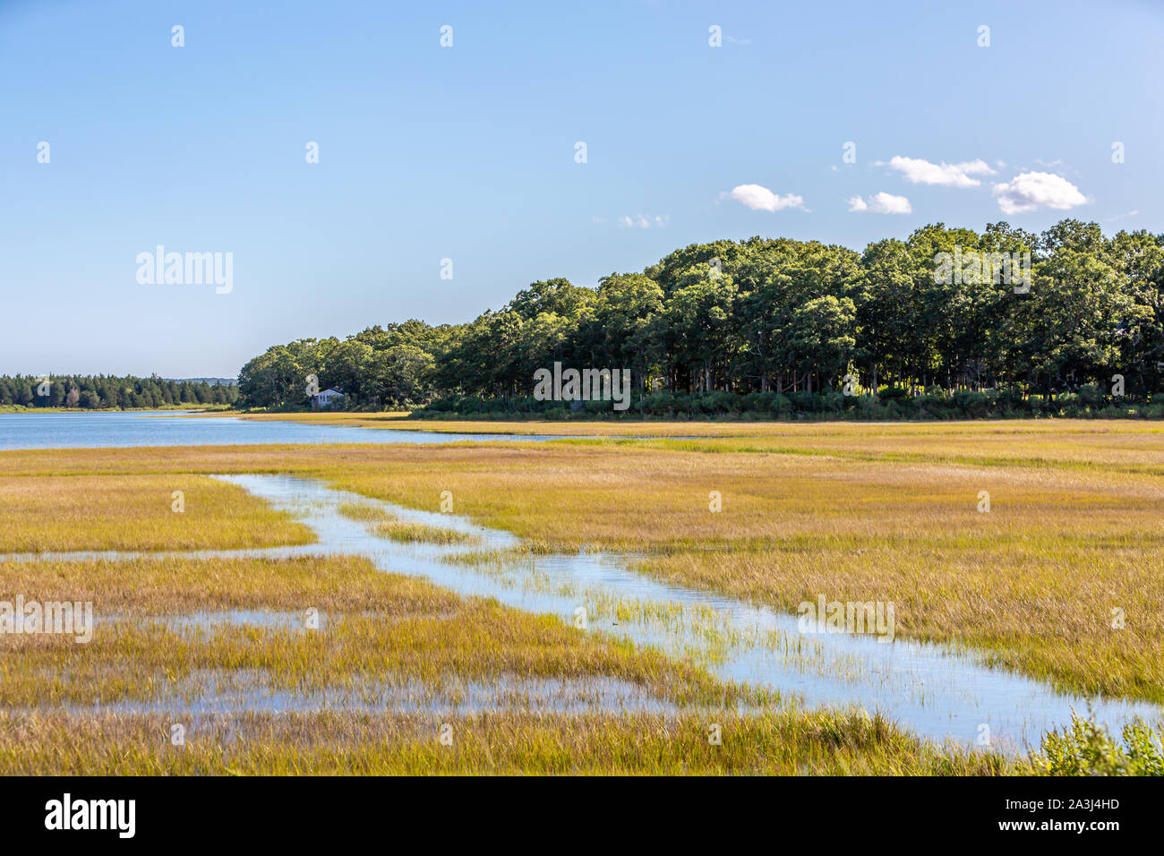 Wet lands in East Hampton, NY Stock Photo