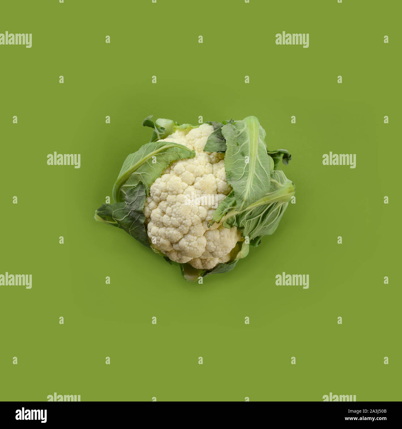 Head of cauliflower on olive background Stock Photo