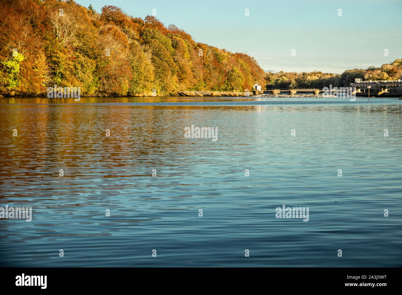 Salmon leap river bann hires stock photography and images Alamy