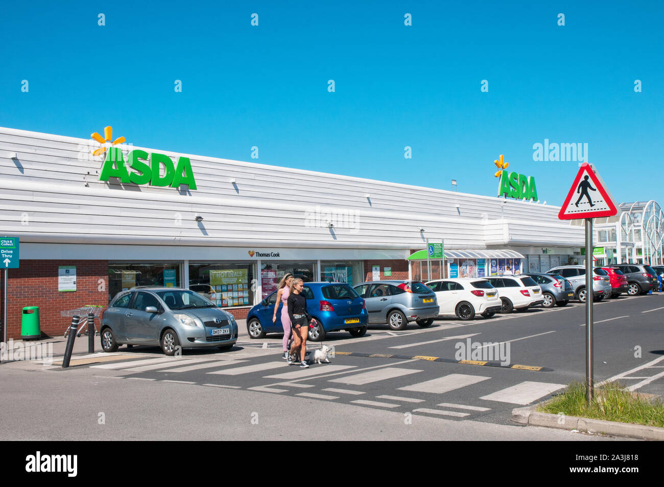 Two young ladies with small dogs useing zebra crossing at Asda store on