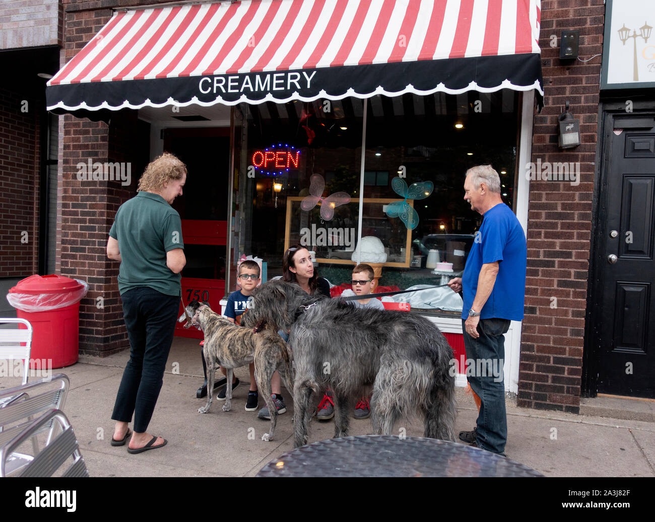 Couple walking their rather large dogs by Grand Ole Creamery talking to customers seated in front of the shop. St Paul Minnesota MN USA Stock Photo