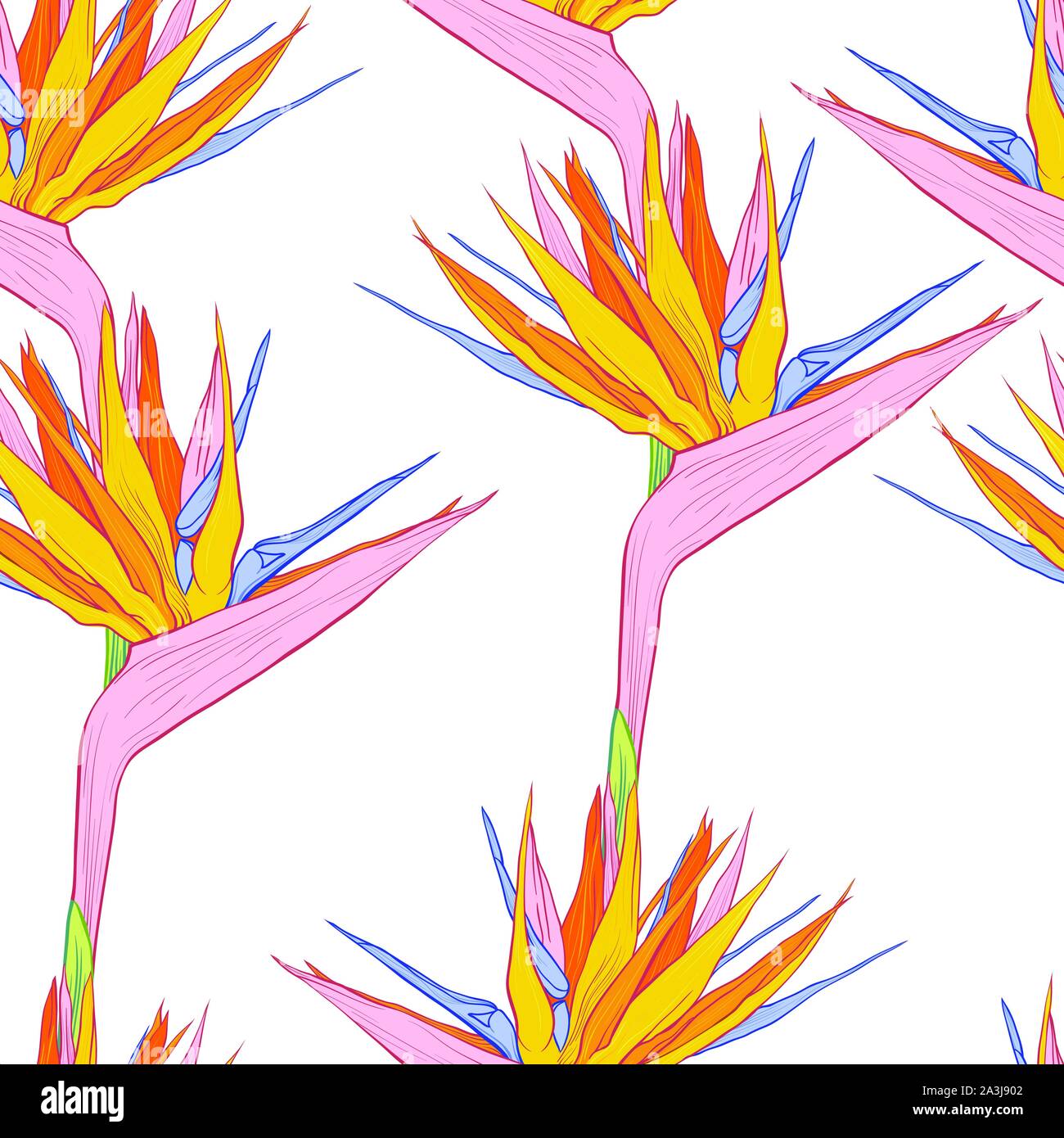 Strelitzia reginae or bird of paradise flowers. Vector colored seamless pattern for fabric textile design. Stock Vector