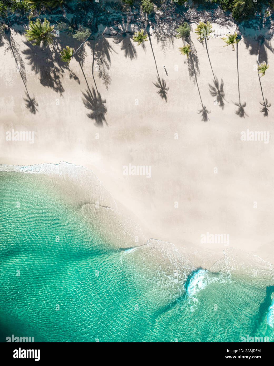Beautiful top aerial with coconut and palm trees on a tropical beach with nice turquoise water swimmers, surfers and people enjoying a holiday. Stock Photo