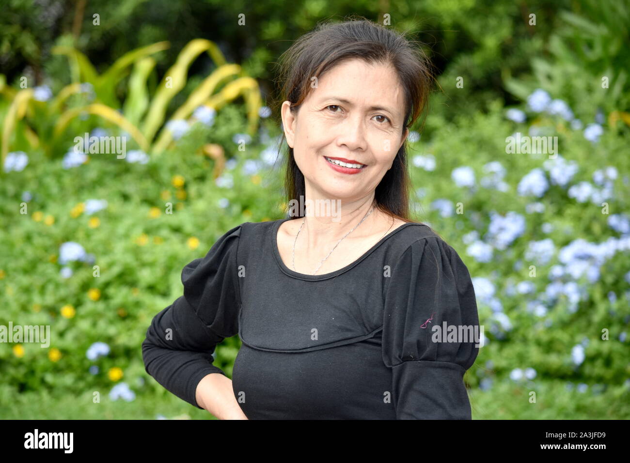 Happy senior citizen woman hi-res stock photography and images - Alamy