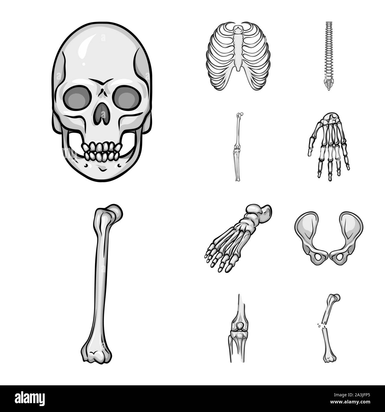 Vector Vectors Stock Vector Image & Art - Alamy