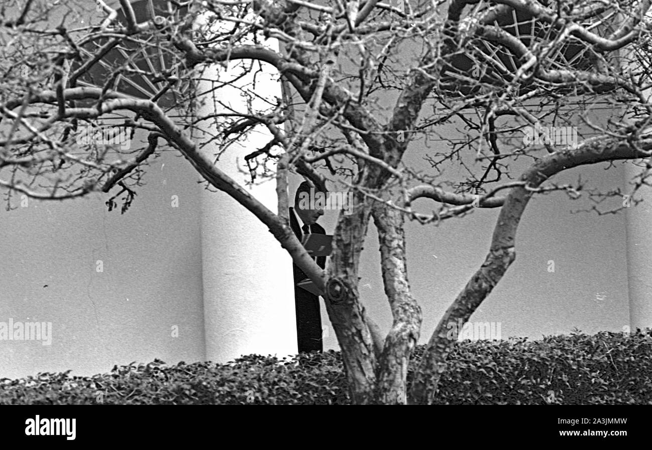 Washington DC., USA, January 30, 1984 President Ronald Reagan walks though the Rose Garden towards the Oval Office for a meeting with Ambassador Edward Rowny to discuss the SALT negotiations, pauses to talk with reporters Stock Photo