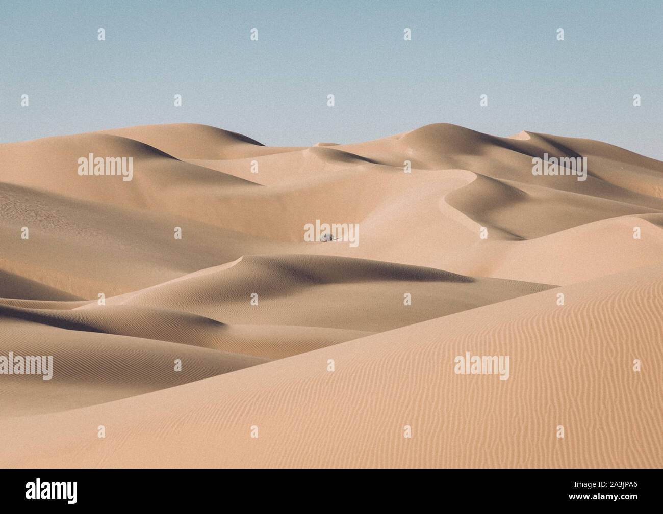 Sand dunes with a lone bush in the desert near Yuma, AZ Stock Photo Alamy