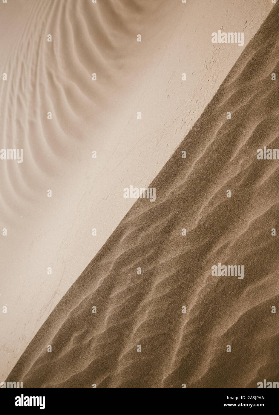 Ridge at the sand dunes in the desert near Yuma, AZ Stock Photo Alamy