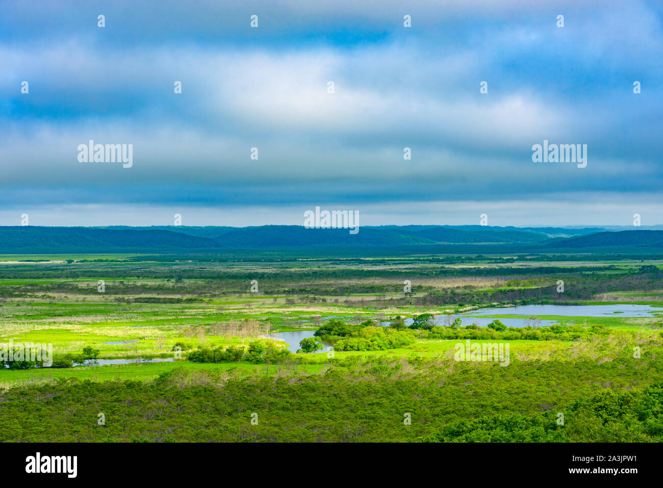 Kushiro Shitsugen national park in Hokkaido in summer day, view from ...