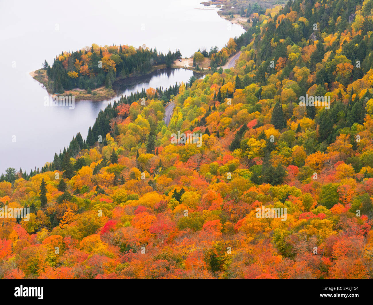 Fall colors in Quebec, in Mont Tremblant Provincial Park Stock Photo