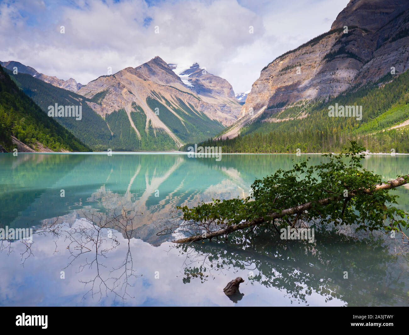 Mount robson provincial park hi-res stock photography and images - Alamy