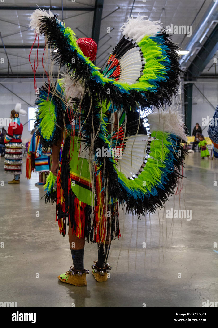 Native American dancer dressed in full regalia at a Pow Wow where ...