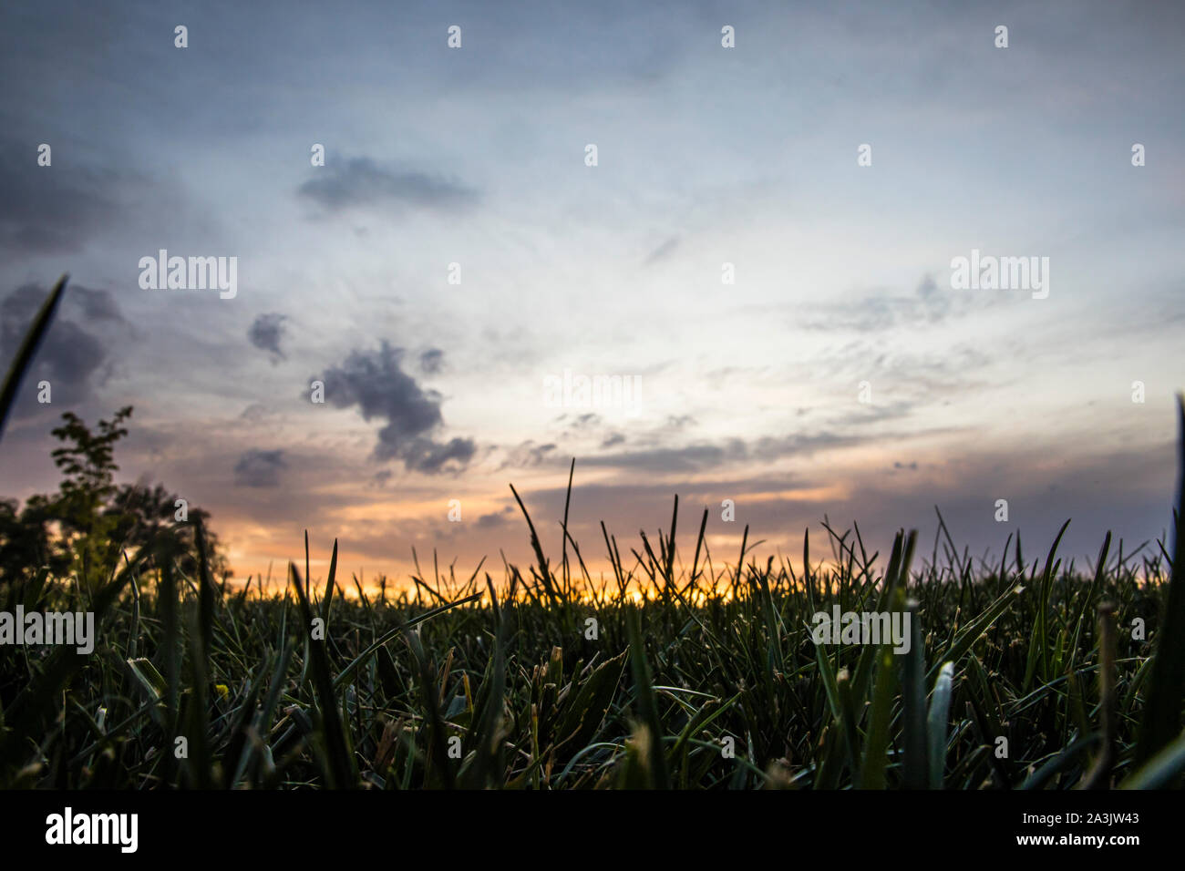 A sun set sky with a field of grass Stock Photo - Alamy
