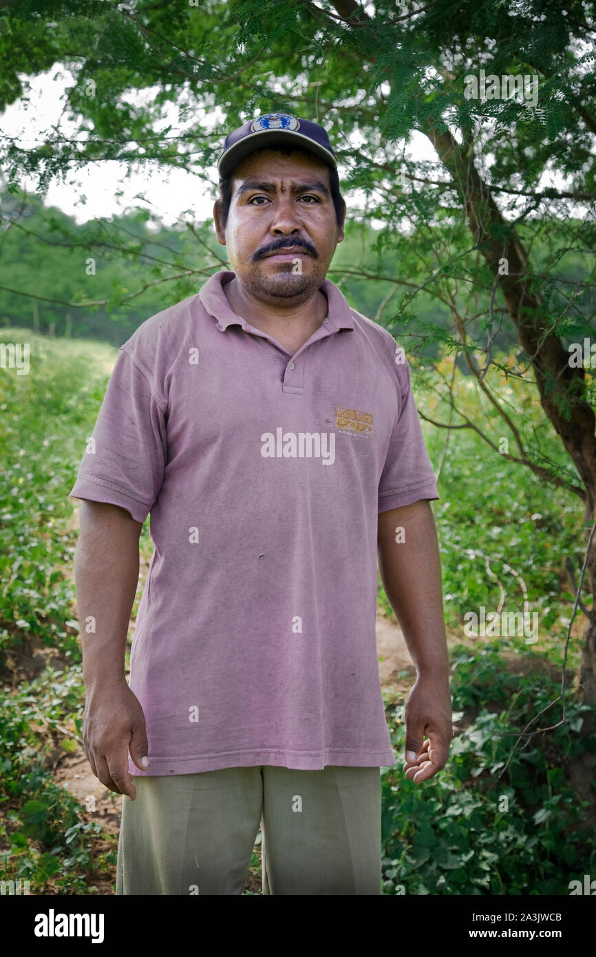 Portrait of male farmer working the field, with a strong look, work day. Stock Photo