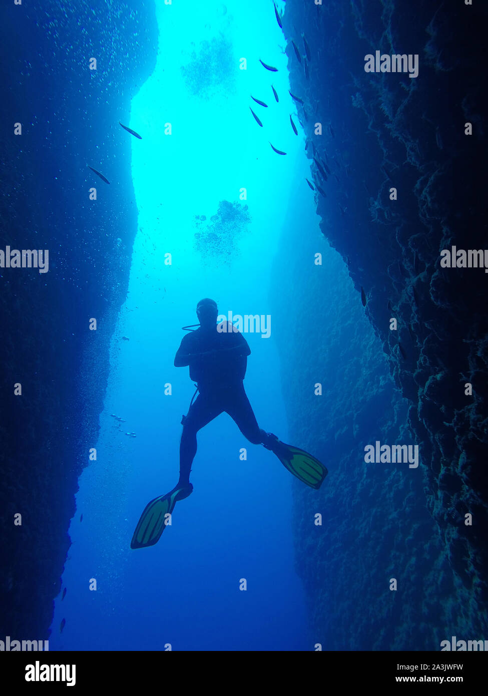 Scuba diver while diving in canyon Stock Photo