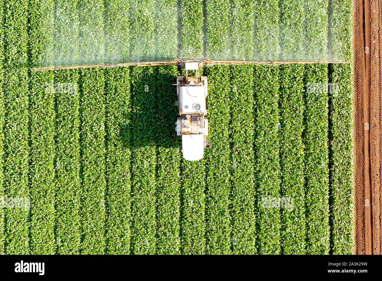 Pesticide Sprayer Tractor working on a Sugar Beet  field, Top down aerial Stock Photo