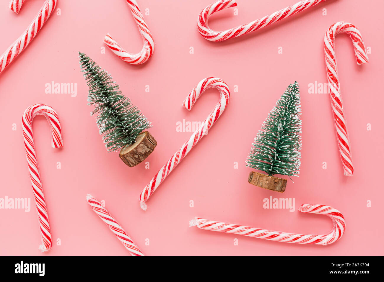 Top View Of Christmas Tree With Many Candy Canes On Pastel Pink Background Holiday Festive Celebration Greeting Card Mockup Template Xmas Concept Stock Photo Alamy