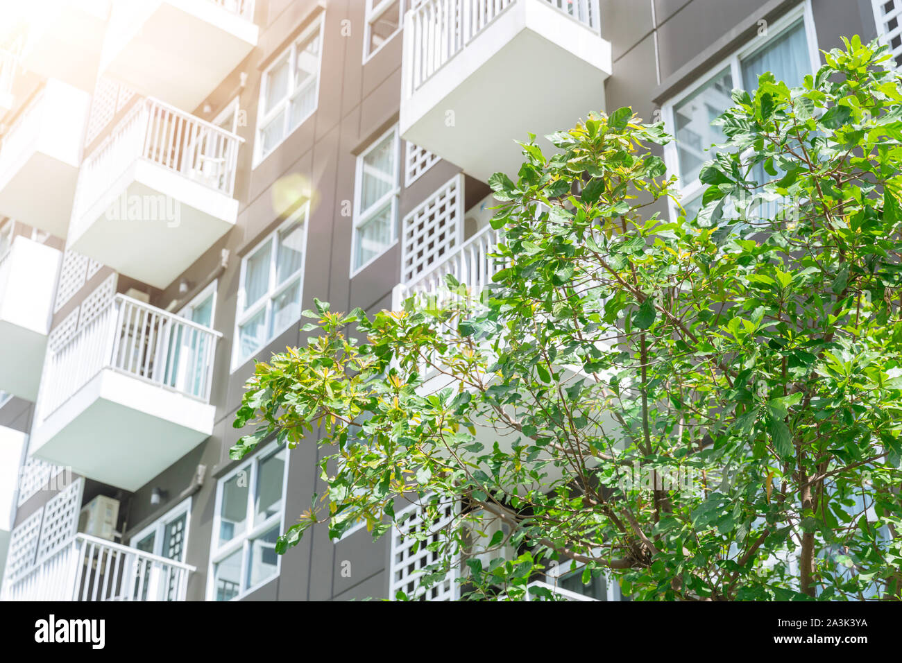 Green living public space plant tree for cooling and fresh air good ozone around condominium Stock Photo