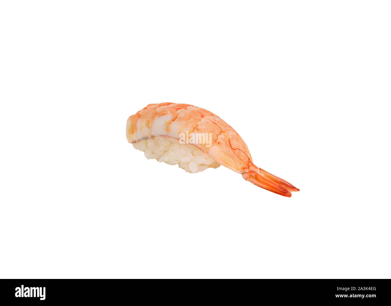 Ebi or Shrimp sushi nigiri japanese cuisine. isolated on white background  Stock Photo - Alamy