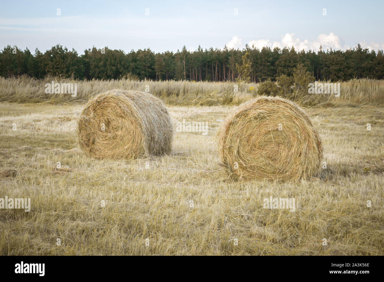 Straw bales on farmland with blue cloudy sky Stock Photo - Alamy