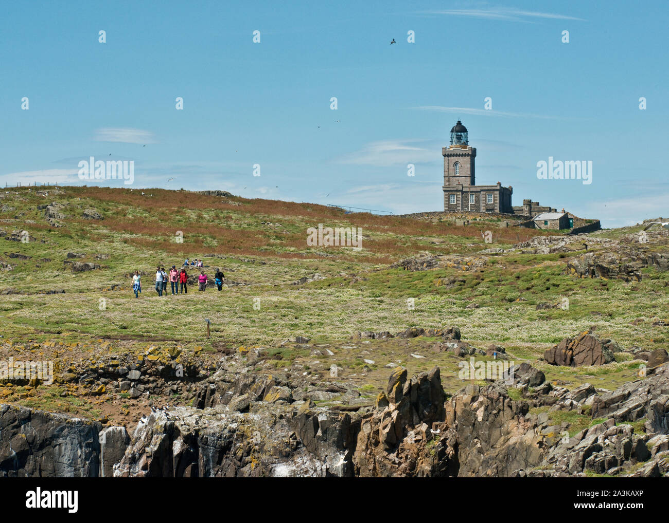 Summer day visitors and Robert Stevenson Lighthouse on Isle of May. Fife, Scotland Stock Photo
