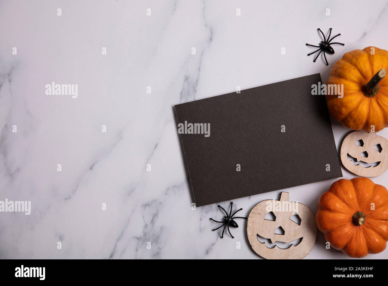 Blank black halloween poster with pumpkins and spiders Stock Photo