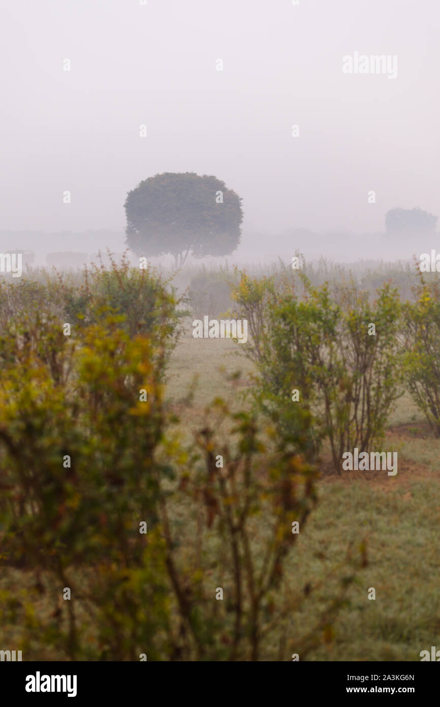 Fog wallpapers hi-res stock photography and images - Alamy