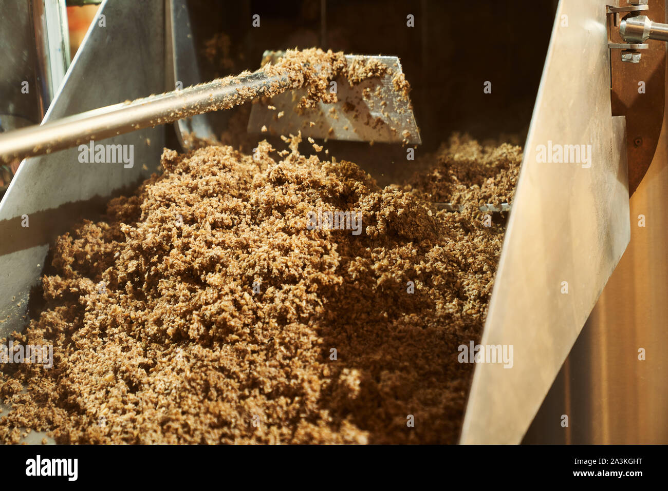 Close up of milled malt grains. Brewery process with fragmentation of malt at modern equipment. Concept of brewery. Stock Photo