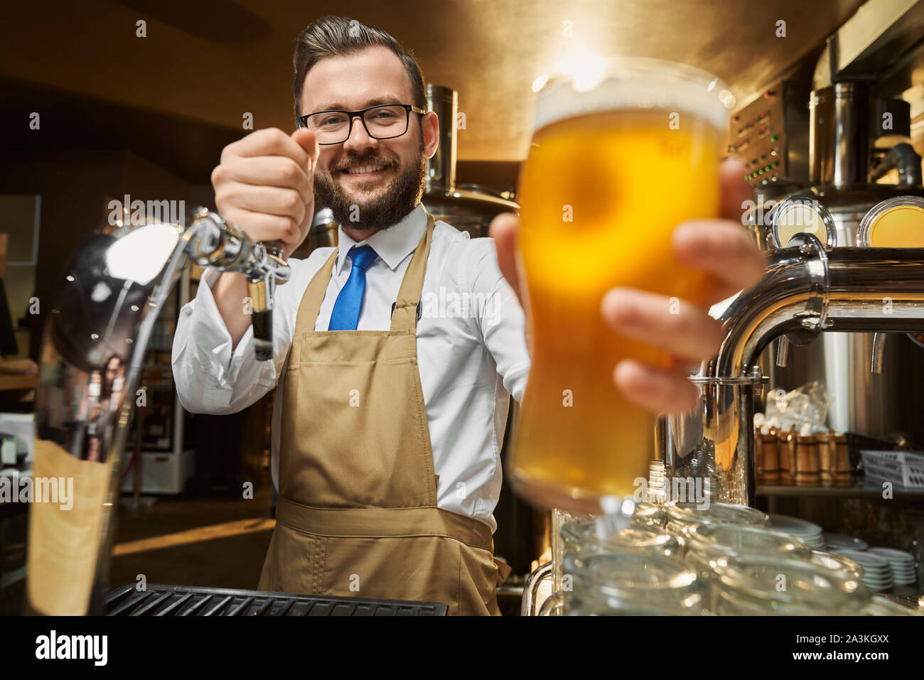 Close up of lager beer glass with foam in hand of adult, bearded, positive bartender. Handsome brewery worker in brown apron holding cold glass with dew, posing, looking at camera. Stock Photo