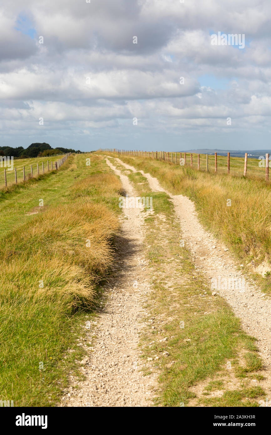 Track along top of chalk scarp escarpment slope near Combe Gibbet, Inkpen Hill, Berkshire, England, UK Stock Photo
