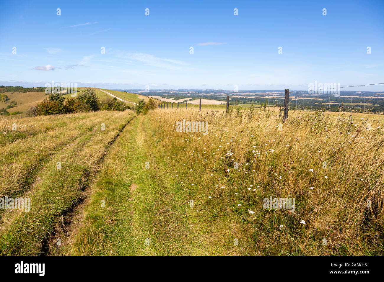 Track along top of chalk scarp escarpment slope of Inkpen Hill, at Walbury Camp, Berkshire, England, UK Stock Photo