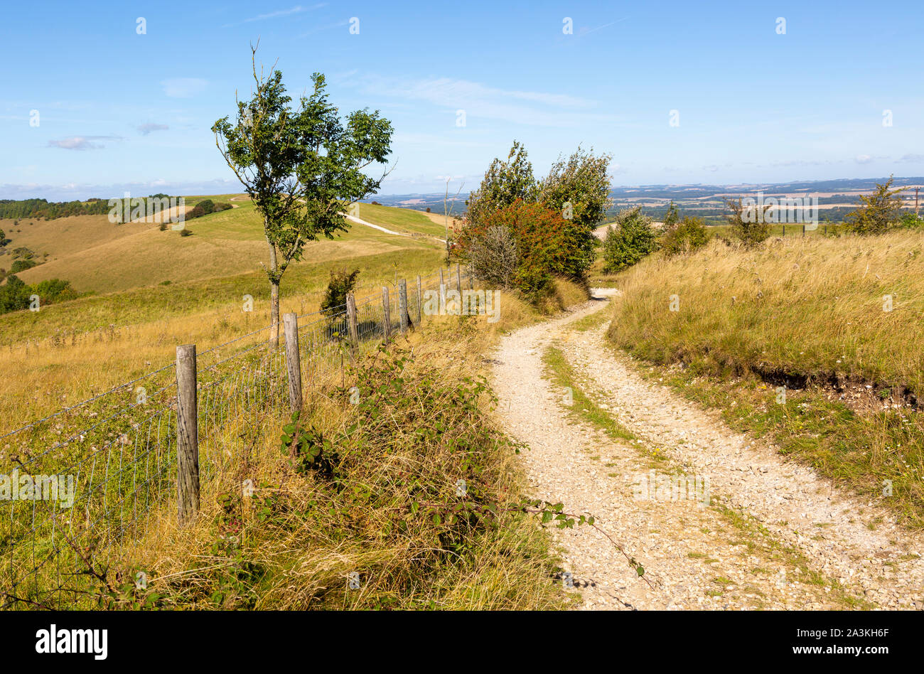 Track along top of chalk scarp escarpment slope of Inkpen Hill, at Walbury Camp, Berkshire, England, UK Stock Photo